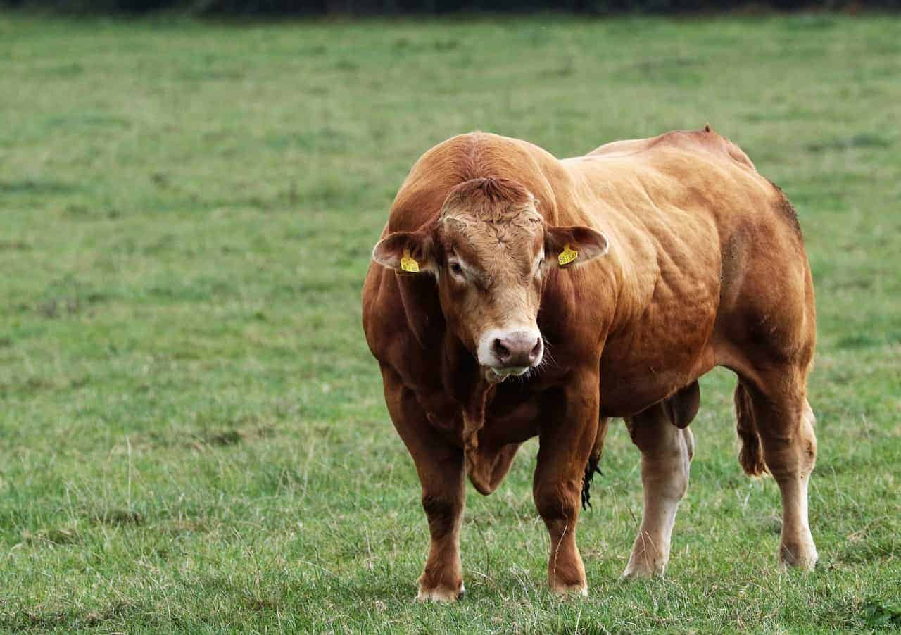 Research & Development 2 bull 1805365 1280