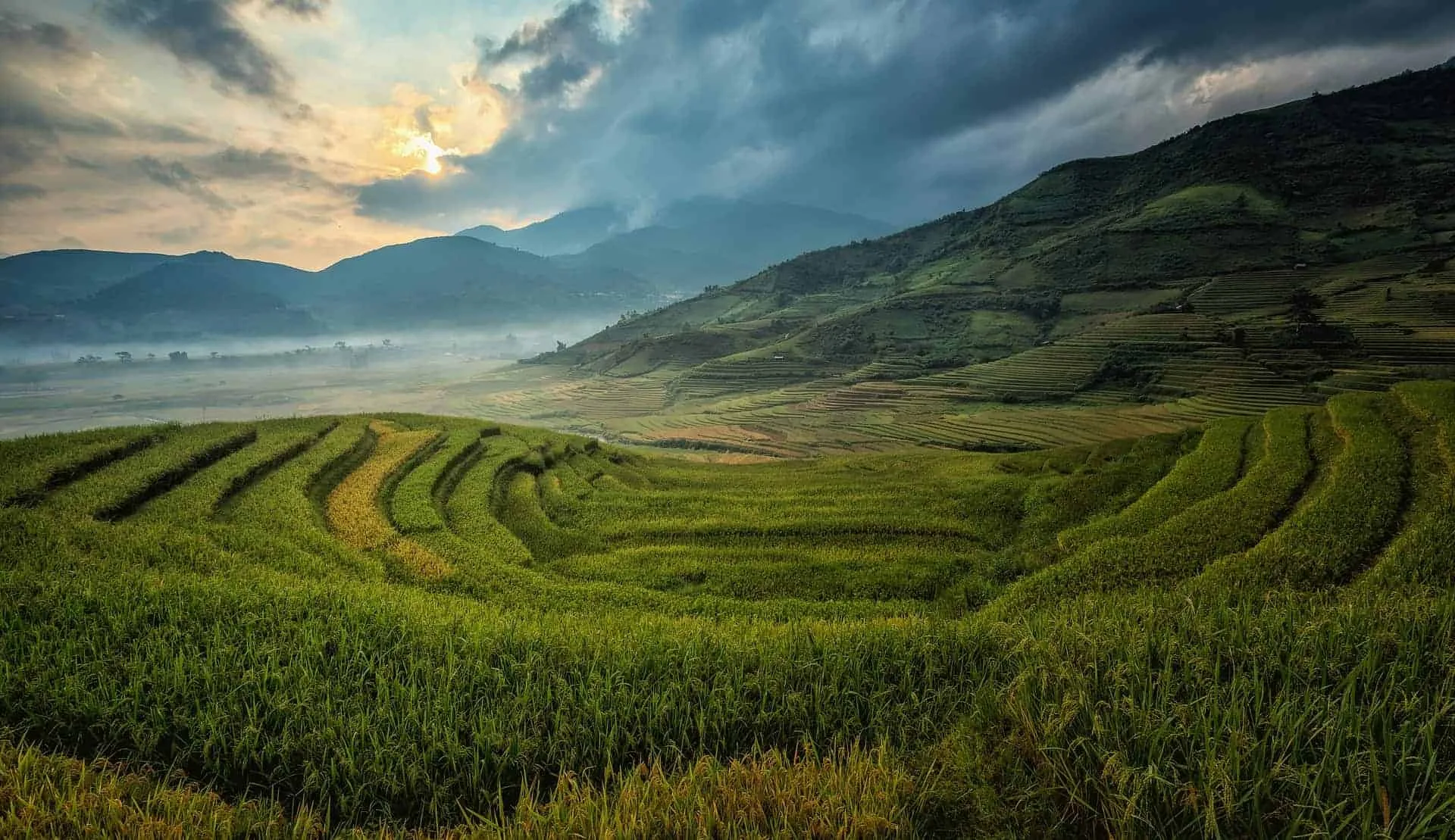 Plant Health, Nutrition & Products 1 agri