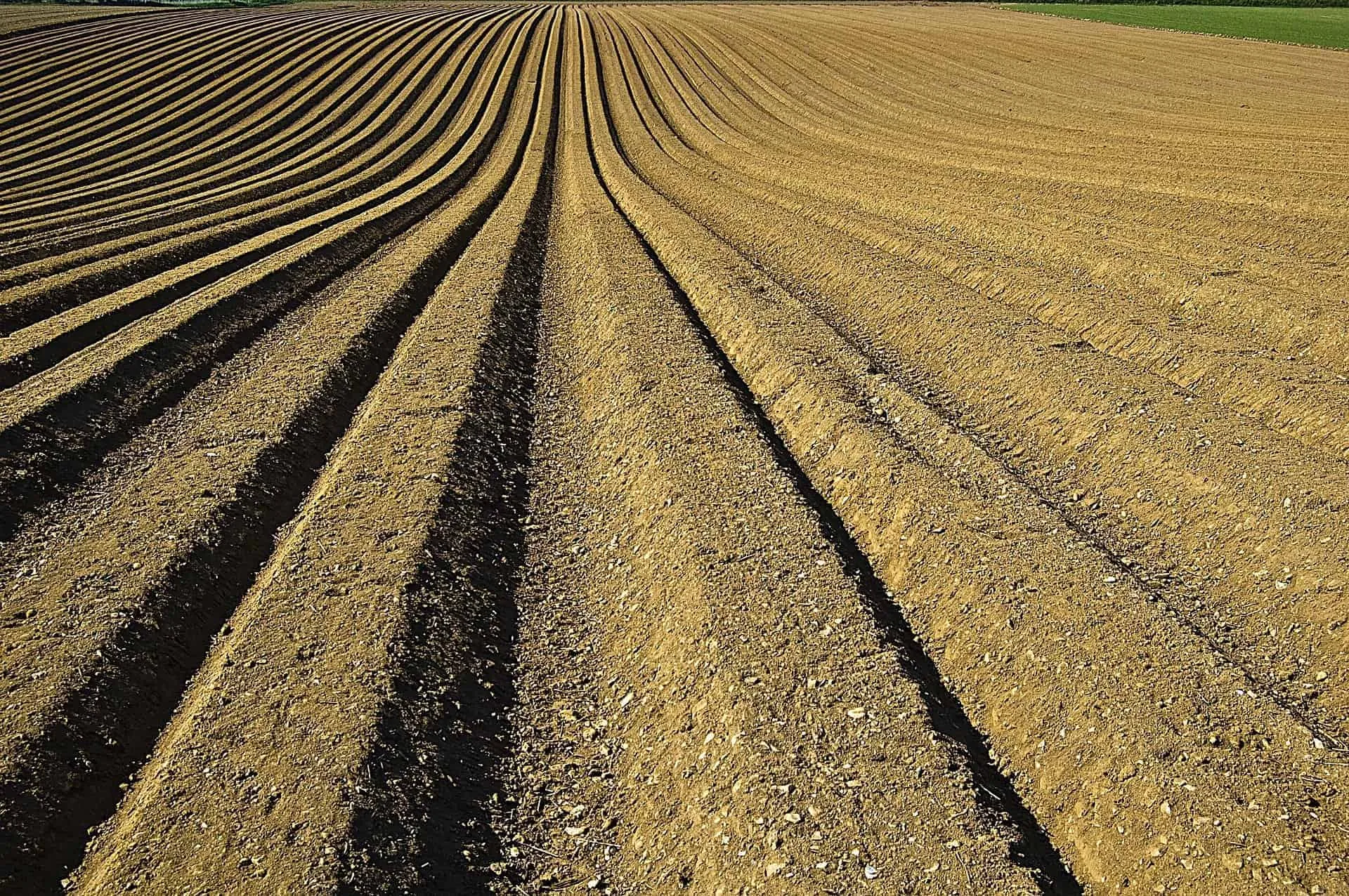 Plant Health, Nutrition & Products 3 crop