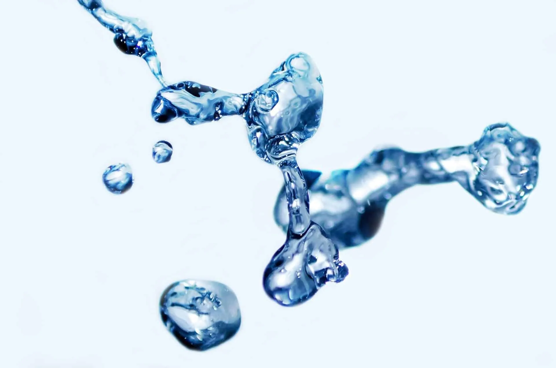 Plant Health, Nutrition & Products 2 splash