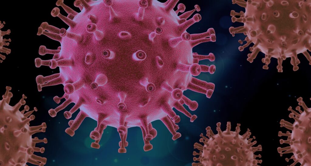 News 1 virus