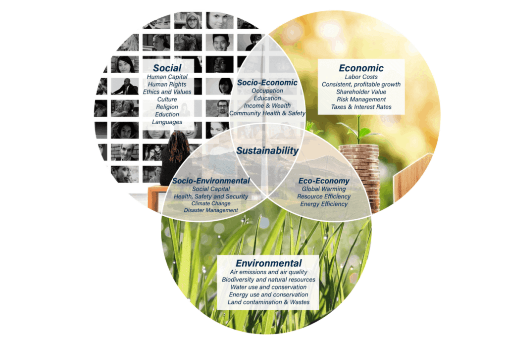 sustainability final