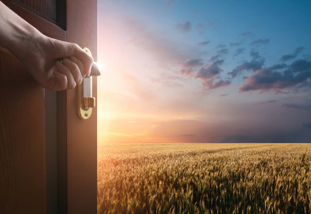 Market Insights & Achievement Highlights 5 opportunity