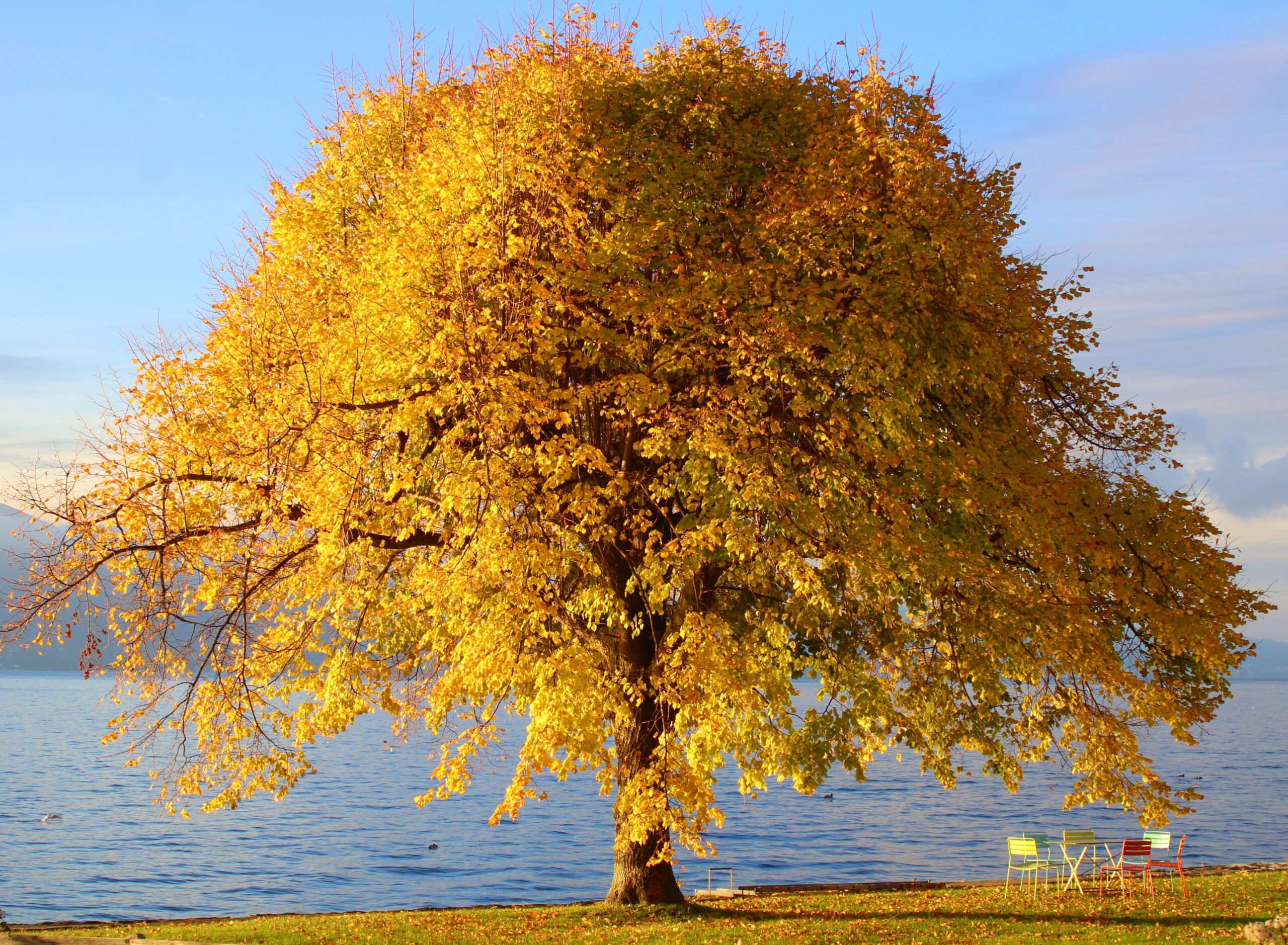 Sustainability and ecosystems