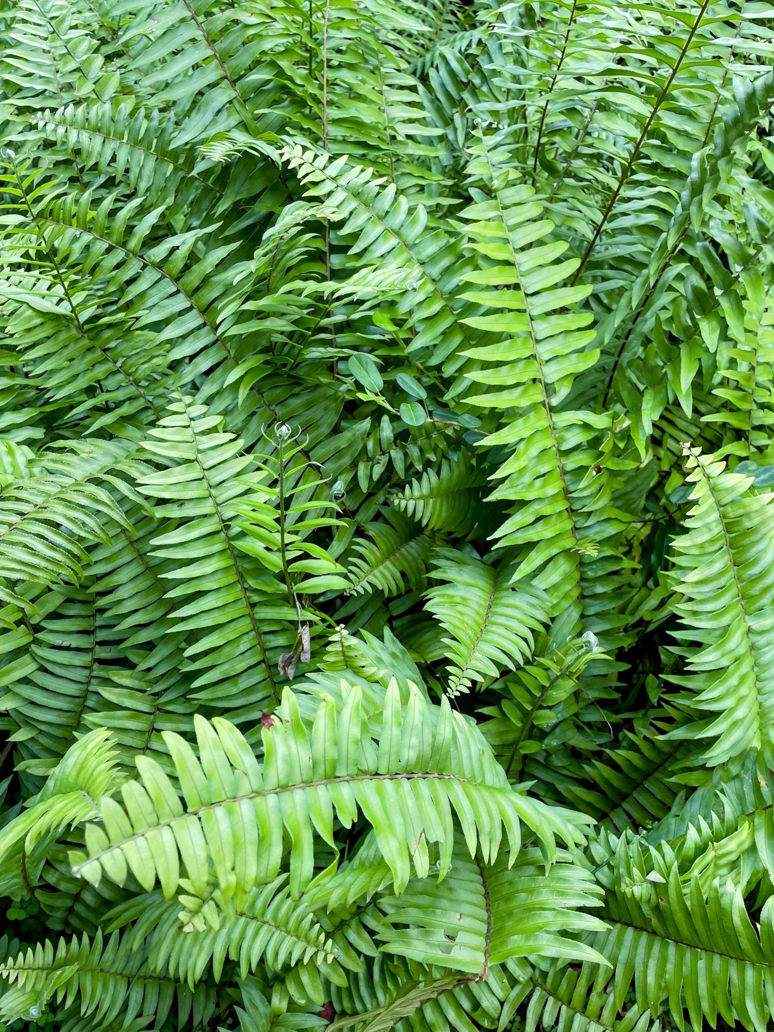 Ecological systems