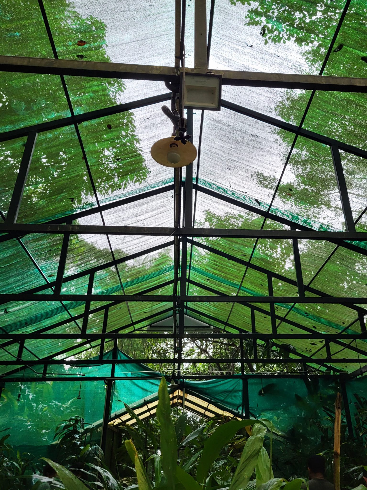 Research laboratory and plant-system testing