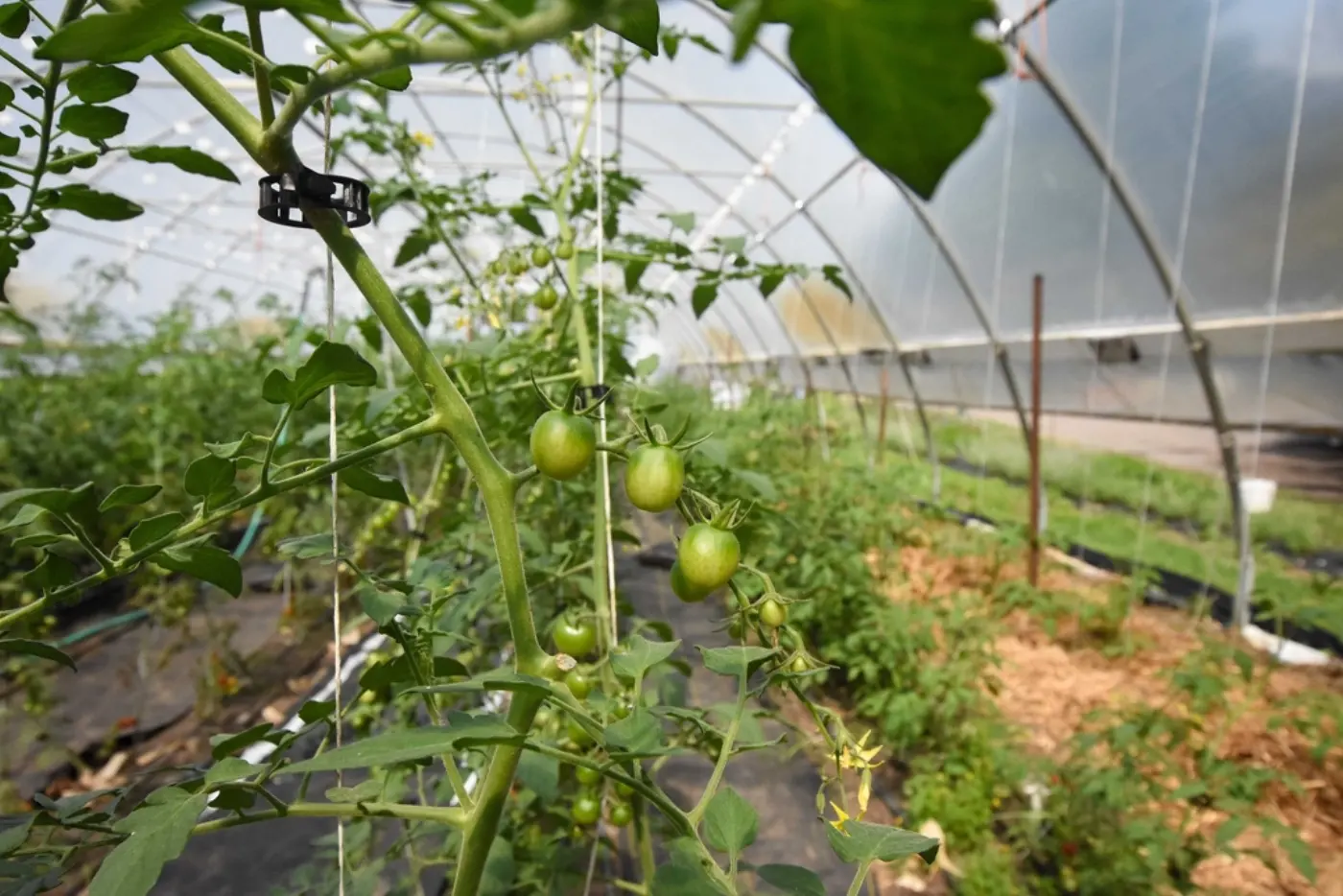 Built environments and long-term structure