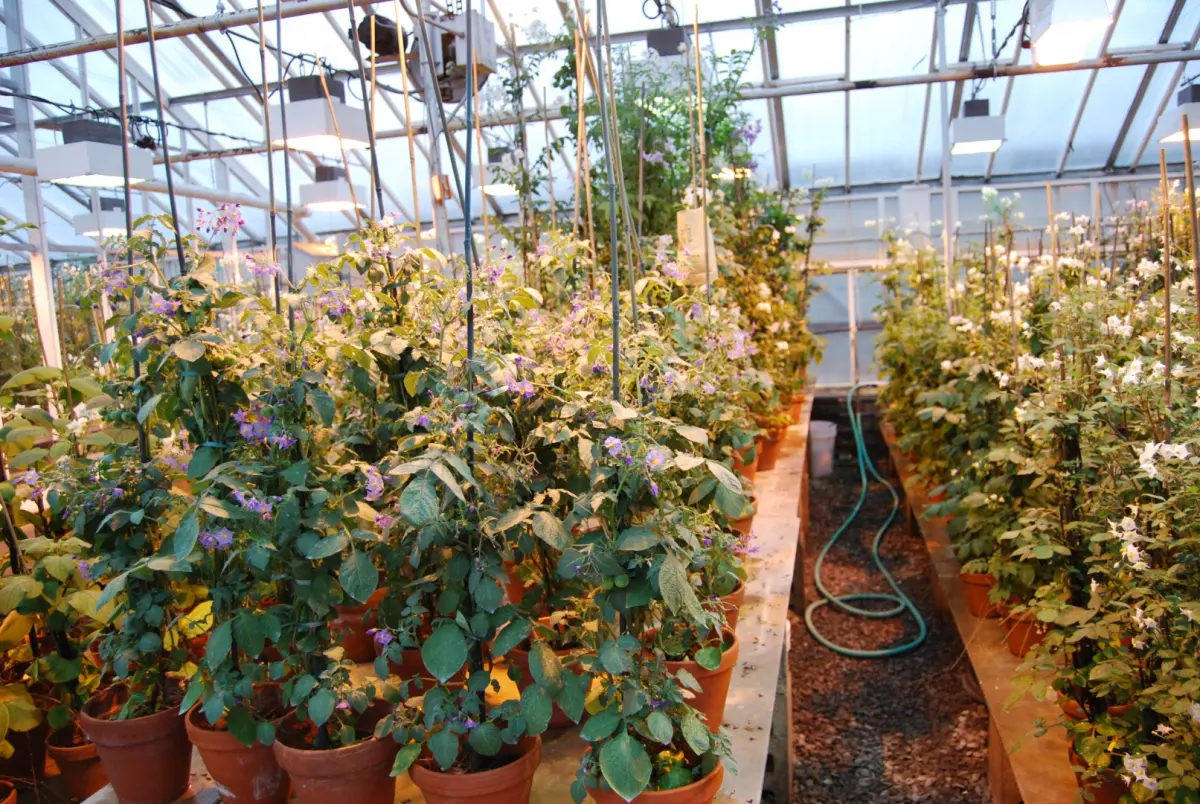 Research, safety, and sustainability as one operating layer