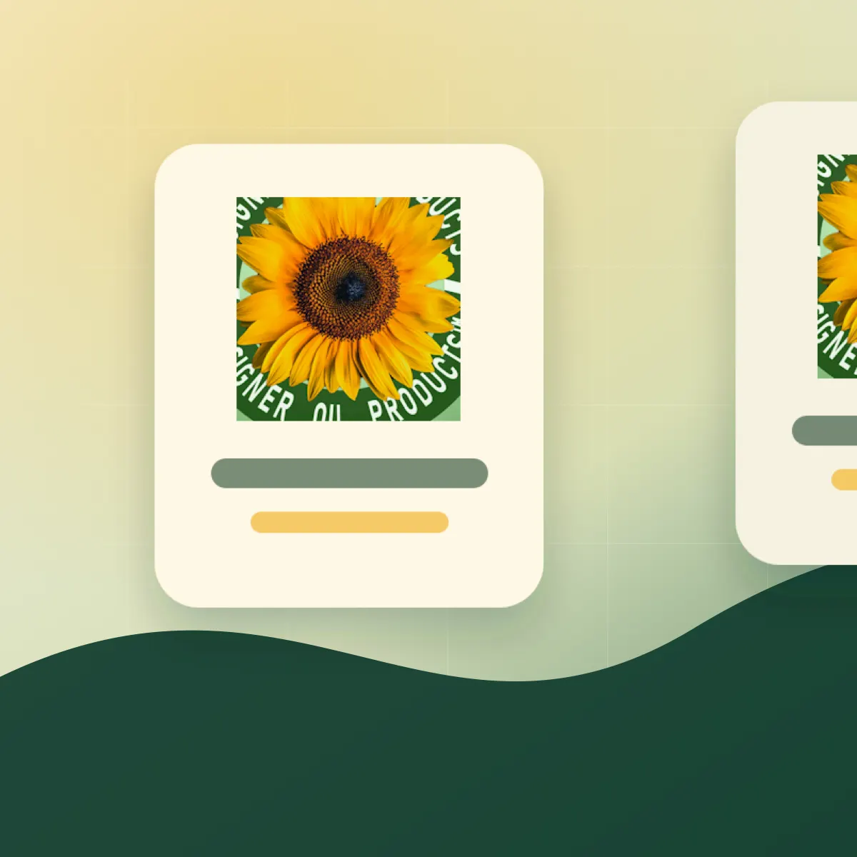 Designer and branded product programs