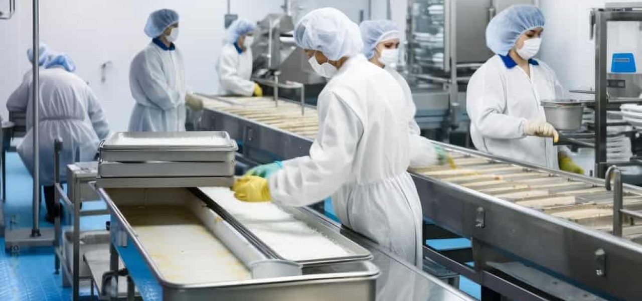Food safety Food safety
